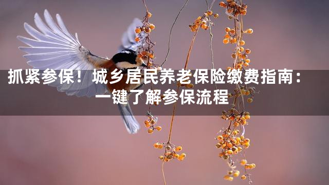 抓紧参保！城乡居民养老保险缴费指南：一键了解参保流程
