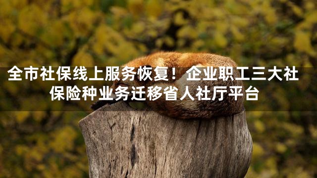 全市社保线上服务恢复！企业职工三大社保险种业务迁移省人社厅平台