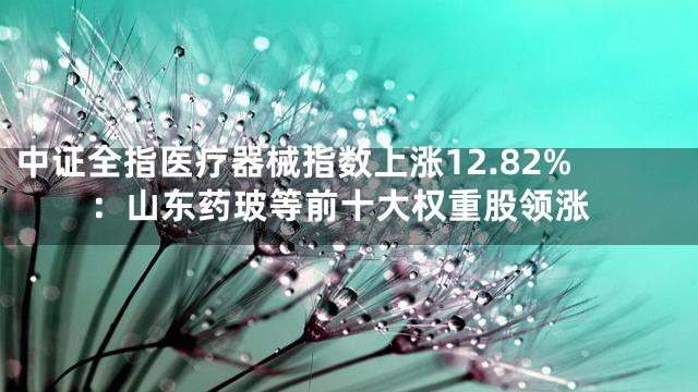 中证全指医疗器械指数上涨12.82%：山东药玻等前十大权重股领涨