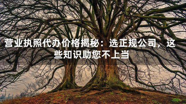 营业执照代办价格揭秘：选正规公司，这些知识助您不上当
