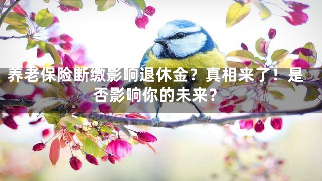 养老保险断缴影响退休金？真相来了！是否影响你的未来？