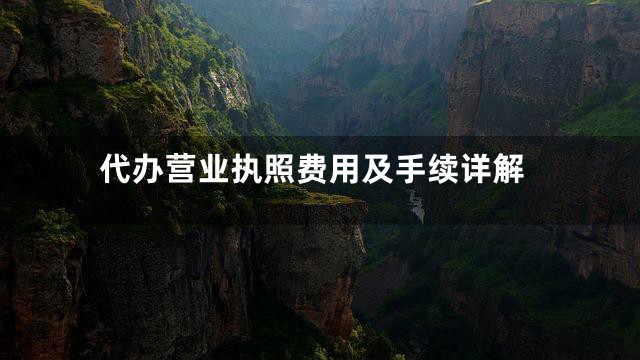 代办营业执照费用及手续详解