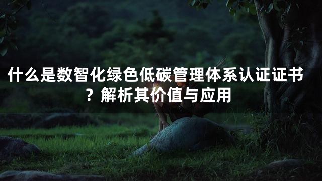 什么是数智化绿色低碳管理体系认证证书？解析其价值与应用