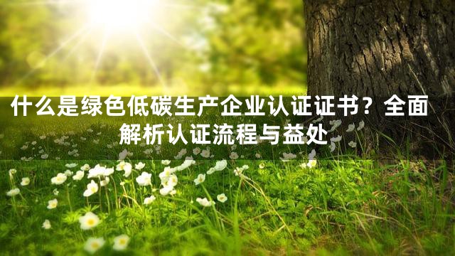 什么是绿色低碳生产企业认证证书？全面解析认证流程与益处
