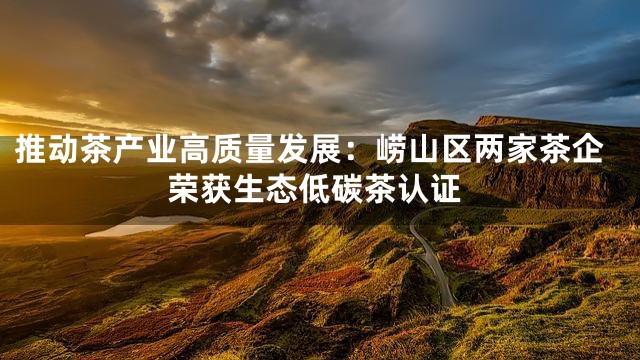 推动茶产业高质量发展：崂山区两家茶企荣获生态低碳茶认证