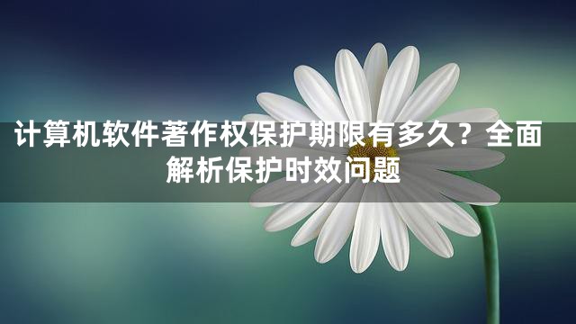 计算机软件著作权保护期限有多久？全面解析保护时效问题