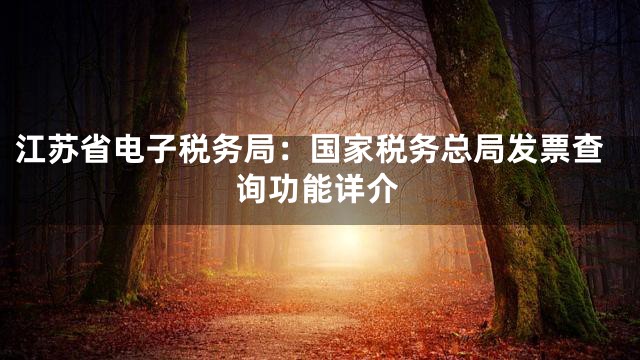 江苏省电子税务局：国家税务总局发票查询功能详介