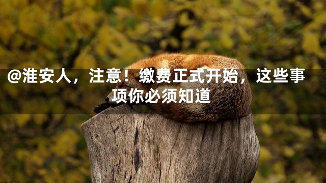 @淮安人，注意！缴费正式开始，这些事项你必须知道