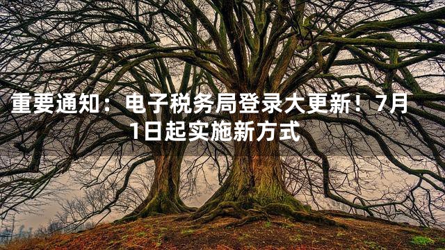 重要通知：电子税务局登录大更新！7月1日起实施新方式