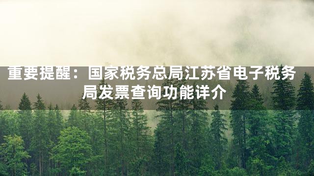 重要提醒：国家税务总局江苏省电子税务局发票查询功能详介