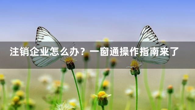 注销企业怎么办？一窗通操作指南来了