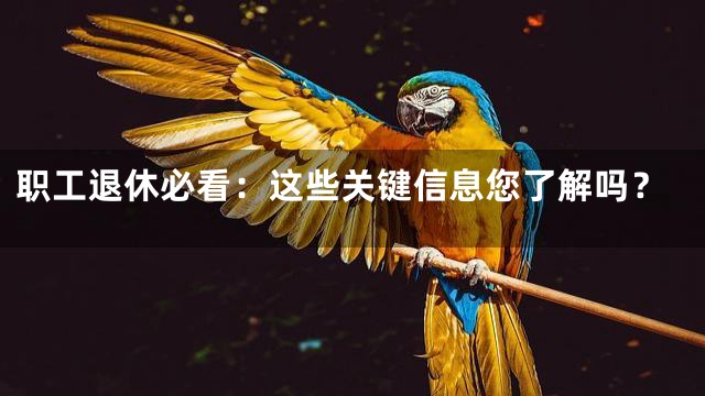 职工退休必看：这些关键信息您了解吗？