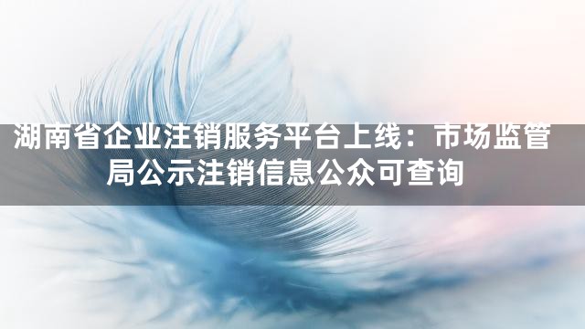 湖南省企业注销服务平台上线：市场监管局公示注销信息公众可查询