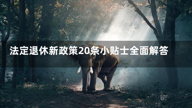 法定退休新政策20条小贴士全面解答