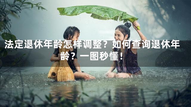 法定退休年龄怎样调整？如何查询退休年龄？一图秒懂！