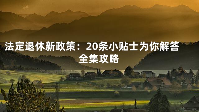 法定退休新政策：20条小贴士为你解答全集攻略