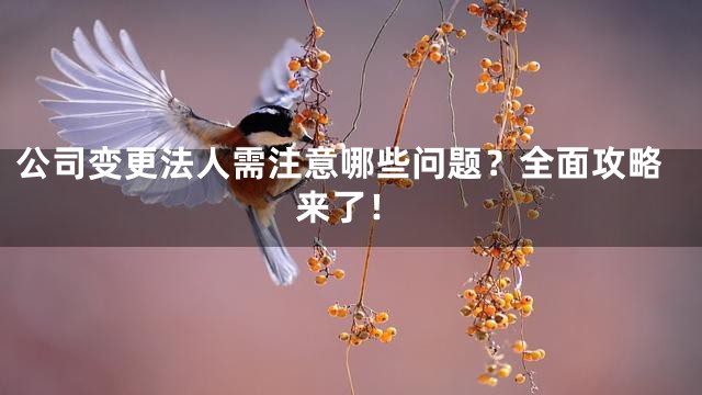 公司变更法人需注意哪些问题？全面攻略来了！