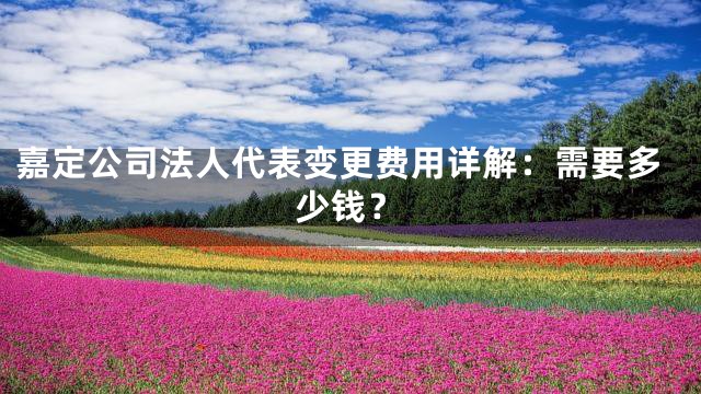 嘉定公司法人代表变更费用详解：需要多少钱？