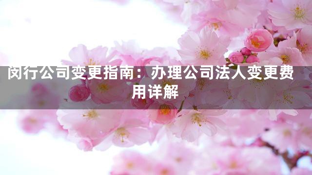 闵行公司变更指南：办理公司法人变更费用详解