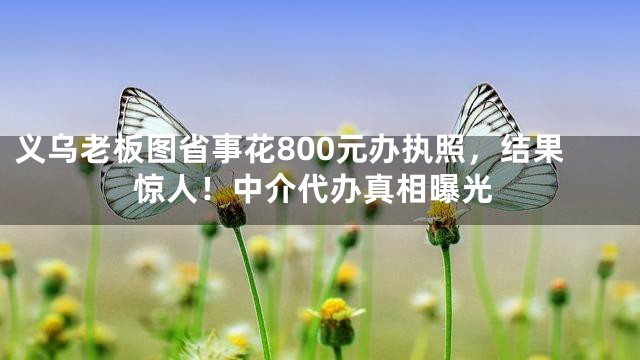 义乌老板图省事花800元办执照，结果惊人！中介代办真相曝光