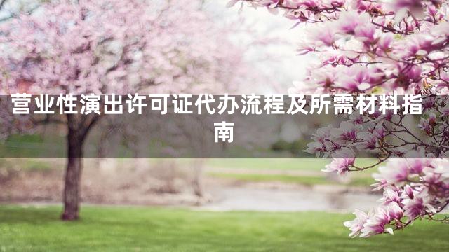 营业性演出许可证代办流程及所需材料指南