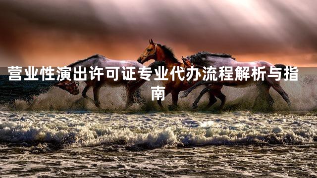 营业性演出许可证专业代办流程解析与指南