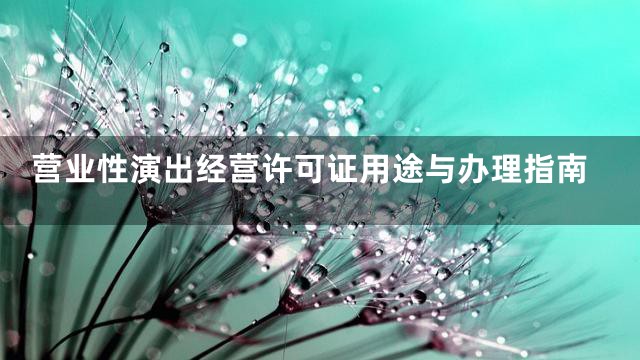 营业性演出经营许可证用途与办理指南