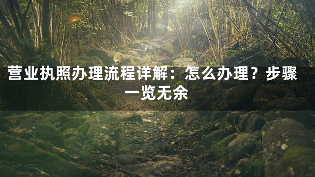 营业执照办理流程详解：怎么办理？步骤一览无余
