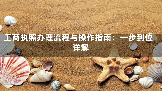 工商执照办理流程与操作指南：一步到位详解