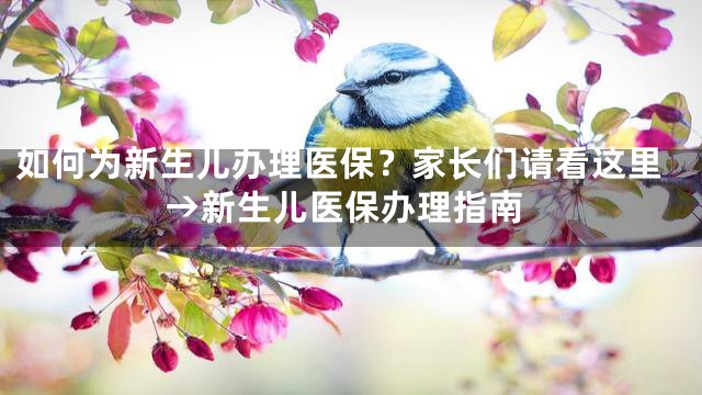 如何为新生儿办理医保？家长们请看这里→新生儿医保办理指南