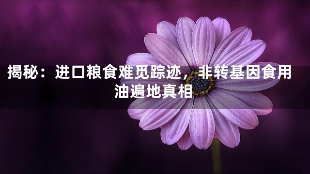 揭秘：进口粮食难觅踪迹，非转基因食用油遍地真相
