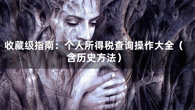 收藏级指南：个人所得税查询操作大全（含历史方法）