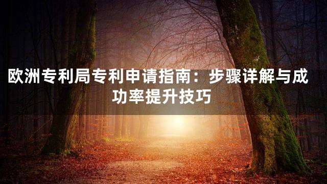 欧洲专利局专利申请指南：步骤详解与成功率提升技巧