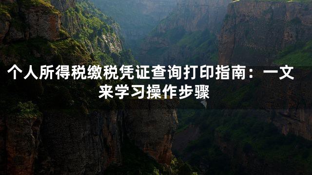 个人所得税缴税凭证查询打印指南：一文来学习操作步骤