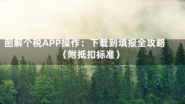图解个税APP操作：下载到填报全攻略（附抵扣标准）