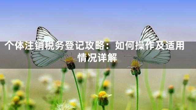 个体注销税务登记攻略：如何操作及适用情况详解
