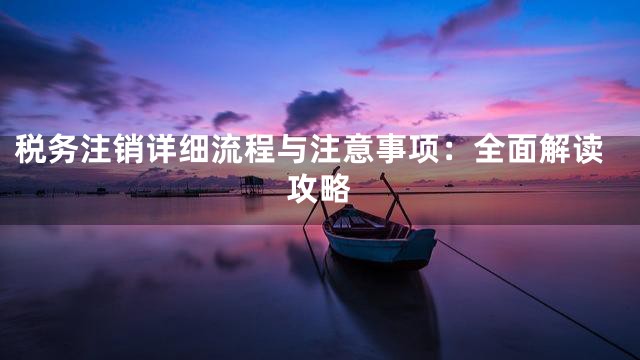 税务注销详细流程与注意事项：全面解读攻略