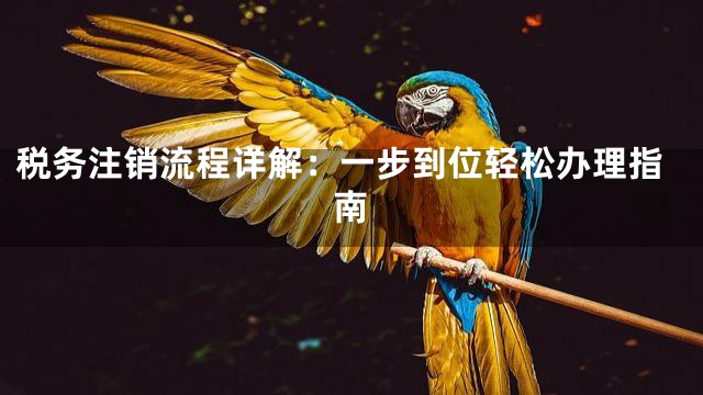 税务注销流程详解：一步到位轻松办理指南