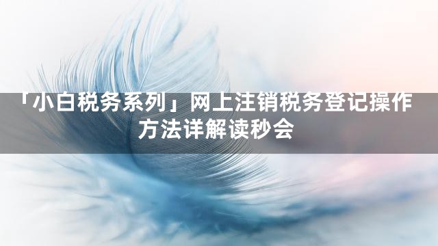 「小白税务系列」网上注销税务登记操作方法详解读秒会