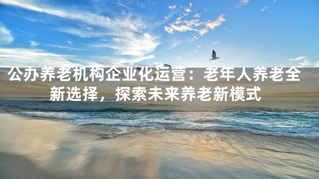 公办养老机构企业化运营：老年人养老全新选择，探索未来养老新模式