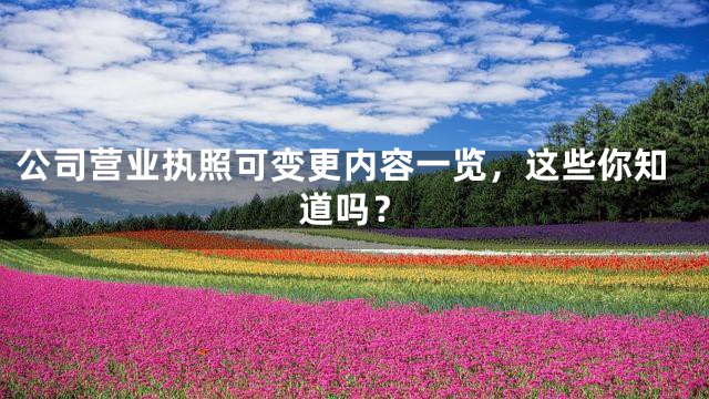 公司营业执照可变更内容一览，这些你知道吗？