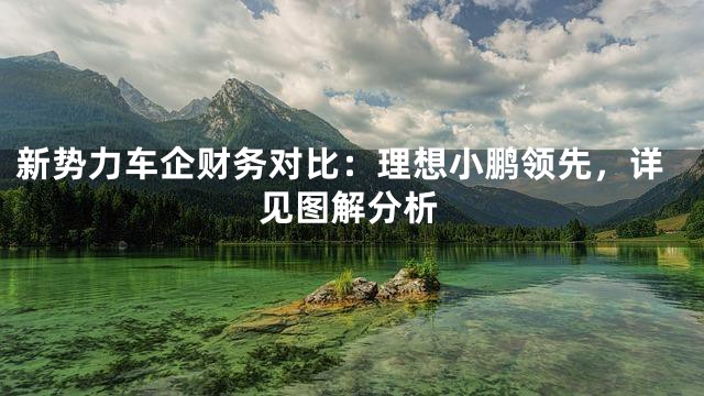 新势力车企财务对比：理想小鹏领先，详见图解分析