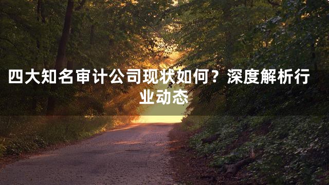 四大知名审计公司现状如何？深度解析行业动态