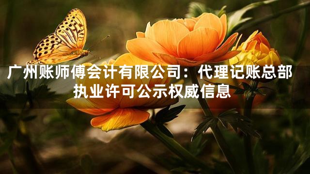 广州账师傅会计有限公司：代理记账总部执业许可公示权威信息