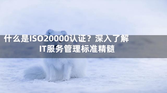 什么是ISO20000认证？深入了解IT服务管理标准精髓