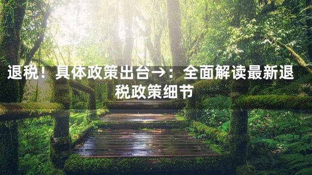 退税！具体政策出台→：全面解读最新退税政策细节