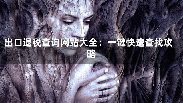 出口退税查询网站大全：一键快速查找攻略
