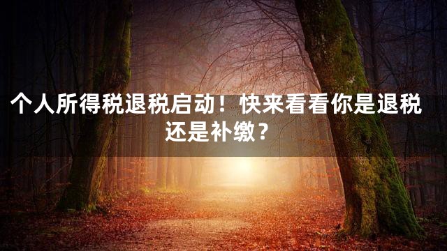 个人所得税退税启动！快来看看你是退税还是补缴？