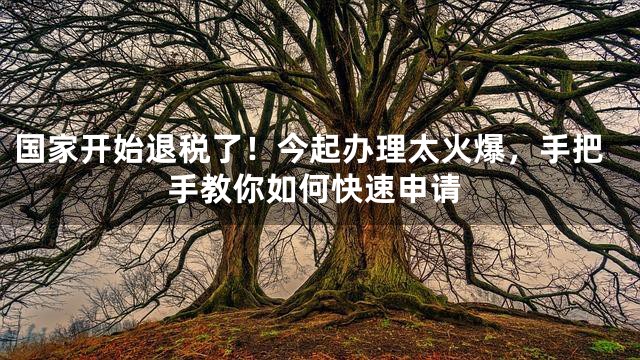 国家开始退税了！今起办理太火爆，手把手教你如何快速申请
