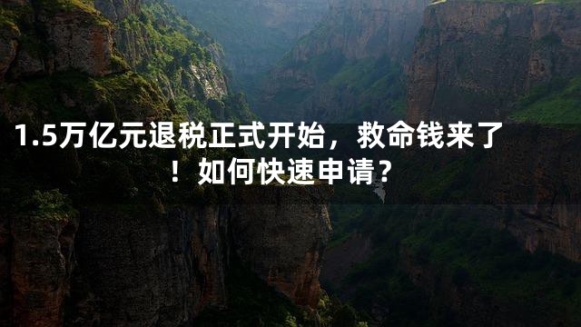 1.5万亿元退税正式开始，救命钱来了！如何快速申请？